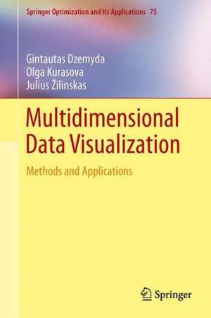 Multidimensional Data Visualization: Methods and Applications de Gintautas Dzemyda