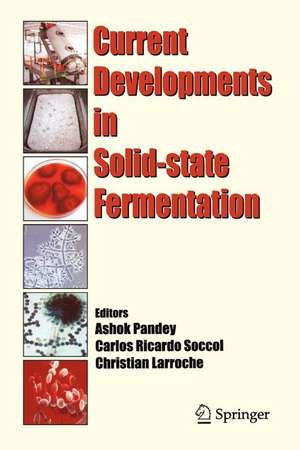 Current Developments in Solid-state Fermentation de Ashok Pandey