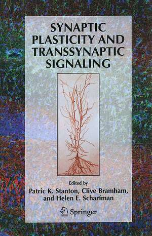 Synaptic Plasticity and Transsynaptic Signaling de Patric K. Stanton