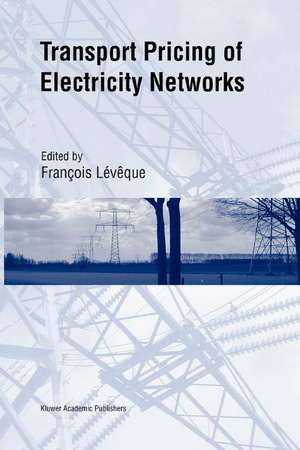 Transport Pricing of Electricity Networks de François Lévêque