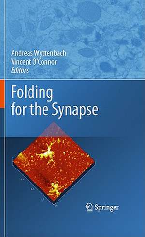 Folding for the Synapse de Andreas Wyttenbach