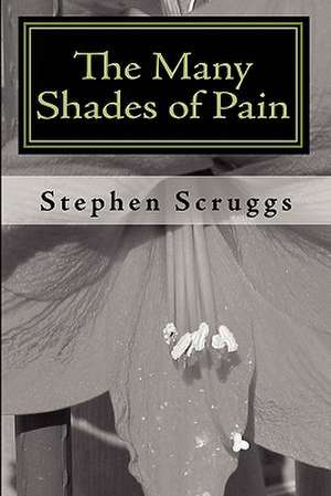 The Many Shades of Pain: A Complete Model for a Nonprofit (or Profit) Organization de Stephen Scruggs