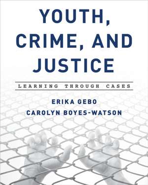 YOUTH CRIME AMP JUSTICE de Erika Gebo