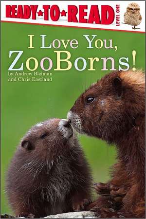 I Love You, ZooBorns! de Andrew Bleiman