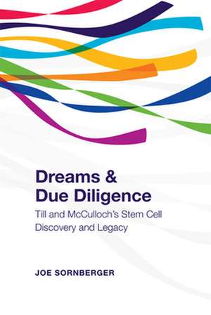 Dreams and Due Diligence de Joe Sornberger