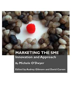 Marketing the Sme: Innovation and Approach de Michele Odwyer