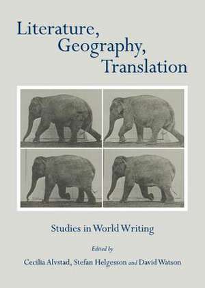 Literature, Geography, Translation: Studies in World Writing de Cecilia Alvstad