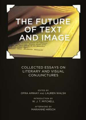 The Future of Text and Image: Collected Essays on Literary and Visual Conjunctures de Ofra Amihay