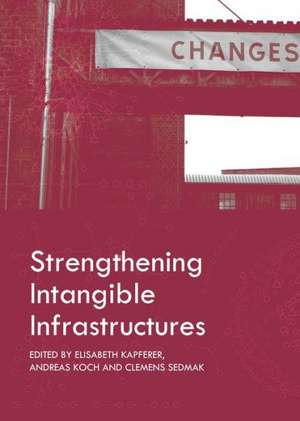 Strengthening Intangible Infrastructures de Elisabeth Kapferer