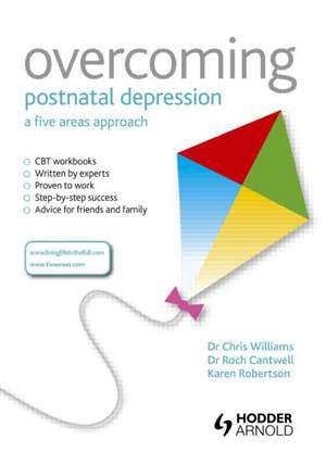 Overcoming Postnatal Depression: A Five Areas Approach de Chris Williams