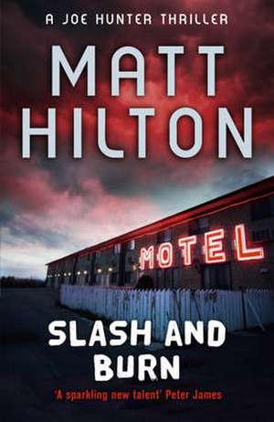 Slash and Burn de Matt Hilton