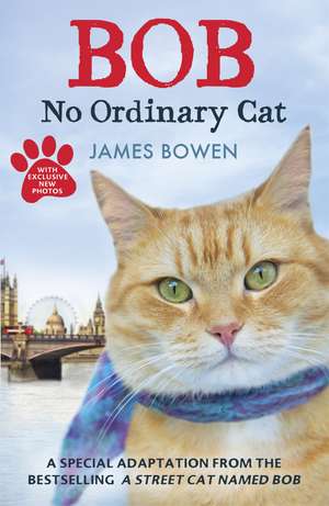 Bob: No Ordinary Cat de James Bowen