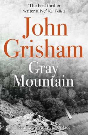 Gray Mountain de John Grisham