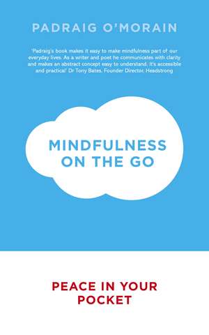 Mindfulness on the Go de Padraig O'Morain