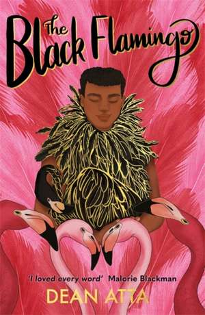 Black Stories Matter: The Black Flamingo de Dean Atta