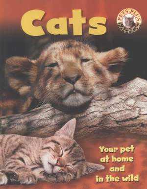 Pets Plus: Cats de Honor Head