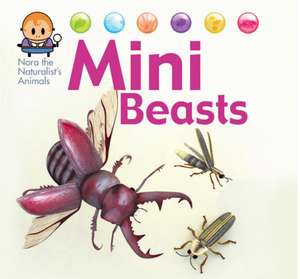 West, D: Nora the Naturalist's Animals: Minibeasts de David West