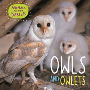 Animals and their Babies: Owls & Owlets de Annabelle Lynch