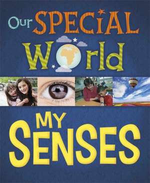 OUR SPECIAL WORLD MY SENSES de Liz Lennon