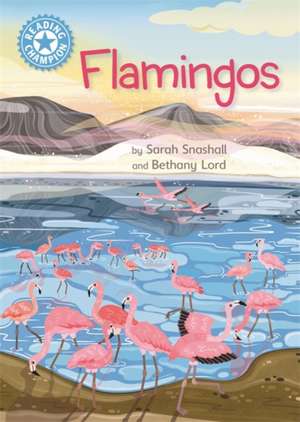 Reading Champion: Flamingos de Sarah Snashall