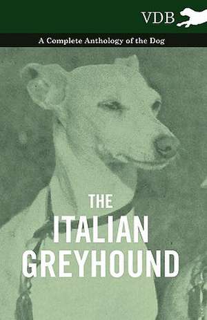 The Italian Greyhound - A Complete Anthology of the Dog de various