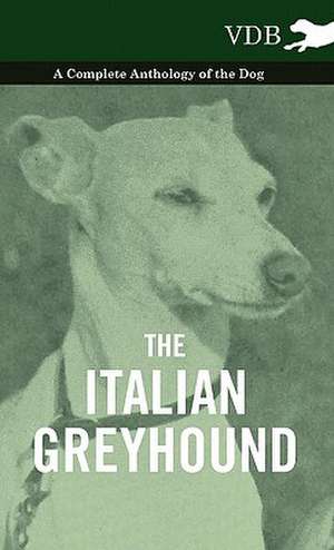 The Italian Greyhound - A Complete Anthology of the Dog de various