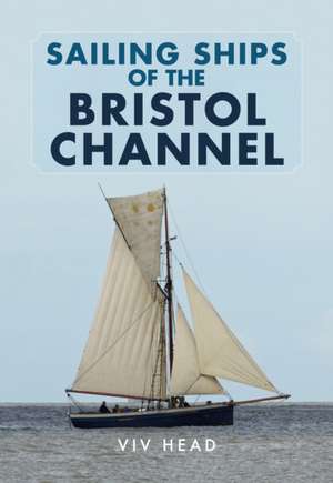 Sailing Ships of the Bristol Channel de Viv Head