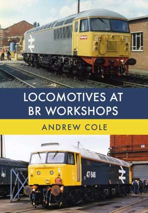 Locomotives at Br Workshops de Andrew Cole