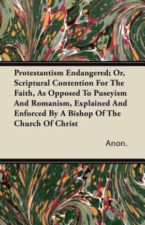 Protestantism Endangered; Or, Scriptural Contention For The Faith, As Opposed To Puseyism And Romanism, Explained And Enforced By A Bishop Of The Church Of Christ de Anon.