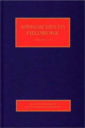 Approaches to Fieldwork de Sam Hillyard