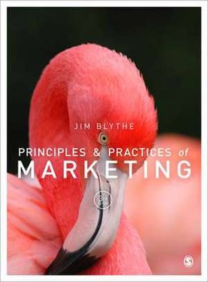 Principles and Practice of Marketing de Jim Blythe