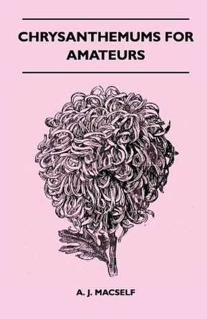 Chrysanthemums For Amateurs de A. J. Macself