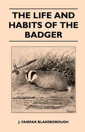 The Life and Habits of The Badger de J. Fairfax Blakeborough