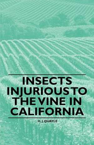 Insects Injurious to the Vine in California de H. J. Quayle