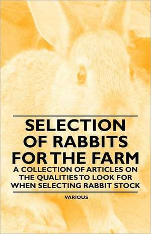 Selection of Rabbits for the Farm - A Collection of Articles on the Qualities to Look for When Selecting Rabbit Stock de Various