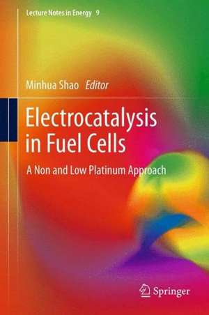 Electrocatalysis in Fuel Cells: A Non- and Low- Platinum Approach de Minhua Shao