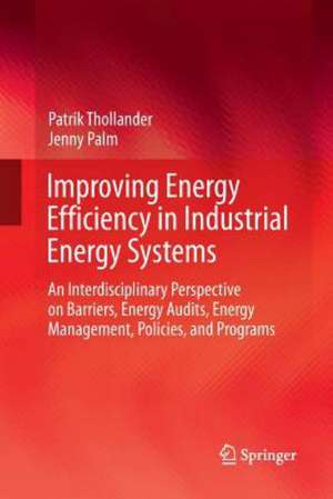 Improving Energy Efficiency in Industrial Energy Systems: An Interdisciplinary Perspective on Barriers, Energy Audits, Energy Management, Policies, and Programs de Patrik Thollander