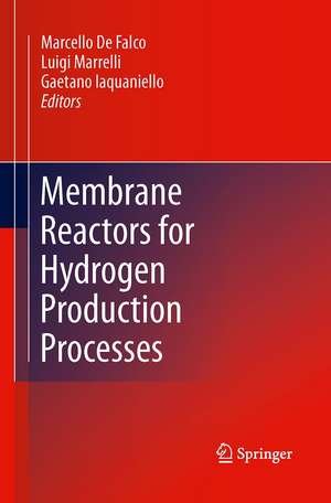 Membrane Reactors for Hydrogen Production Processes de Marcello De Falco