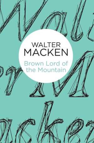 Brown Lord of the Mountain de Walter Macken