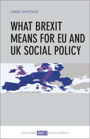 What Brexit Means for EU and UK Social Policy de Linda Hantrais