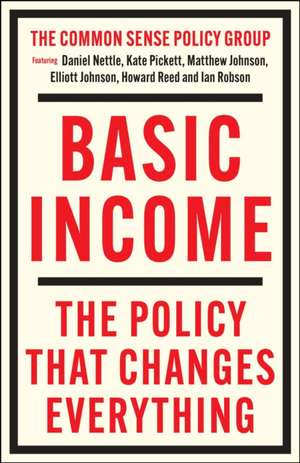 Basic Income de Matthew Johnson