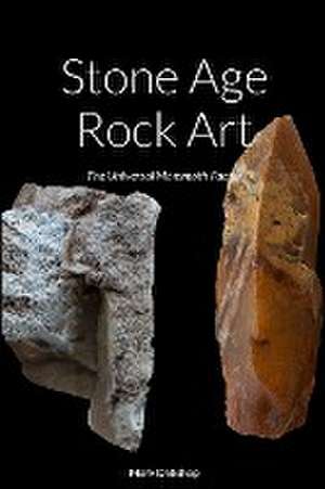 Stone Age Rock Art de Mark D Bishop