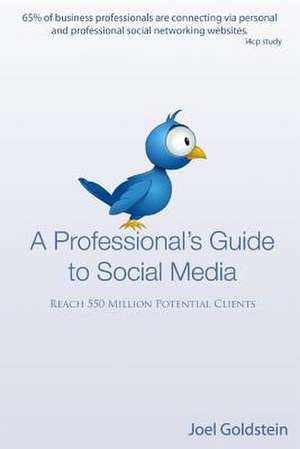 A Professionals Guide to Social Media de Joel Goldstein