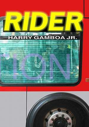 Rider: 100 Easy to Hard Puzzles and How to Solve Them de Harry Gamboa