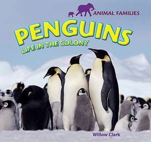 Penguins: Life in the Colony de Willow Clark