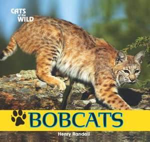 Bobcats de Henry Randall