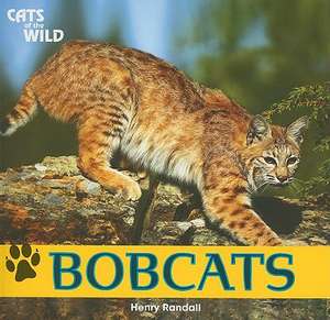 Bobcats de Henry Randall