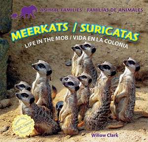 Meerkats/Suricatas: Life in the Mob/Vida En La Colonia de Willow Clark