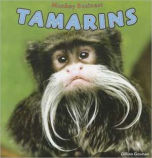 Tamarins de Gillian Gosman