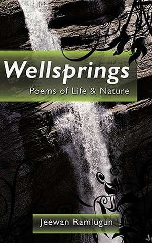 Wellsprings de Jeewan Ramlugun